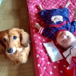 犬と暮らす赤ちゃんの部屋作り